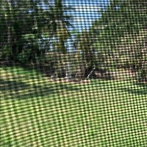 Meet your Posher, Suzanne